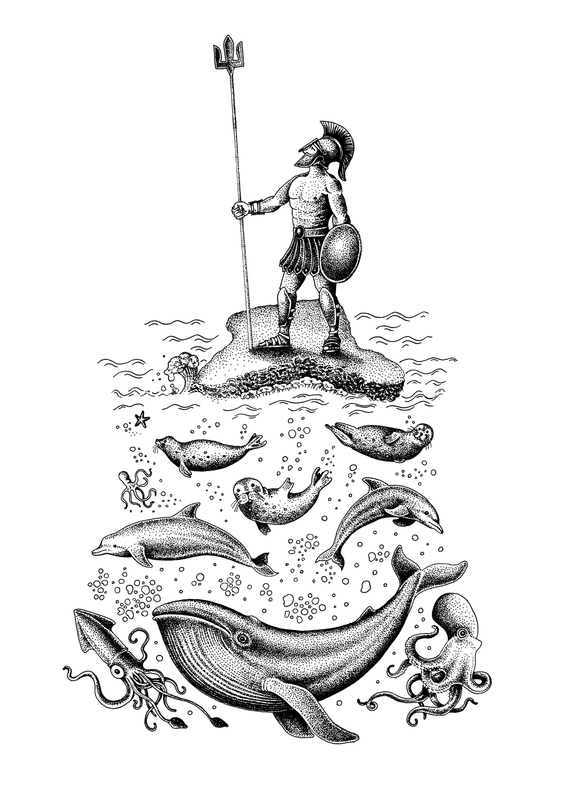 Автор - Комплект The Arc №1 & The Black Sea Whale №1